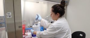 Genetics Graduate Student working in the lab