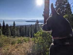 Scout – it’s a view of Lake Tahoe from the top of a hike.