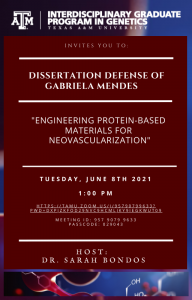 Gabriela Mendes - Defense Flyer