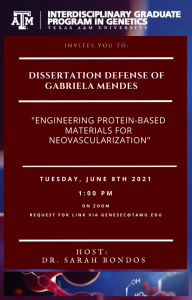 Gabriela Mendes - Defense Flyer