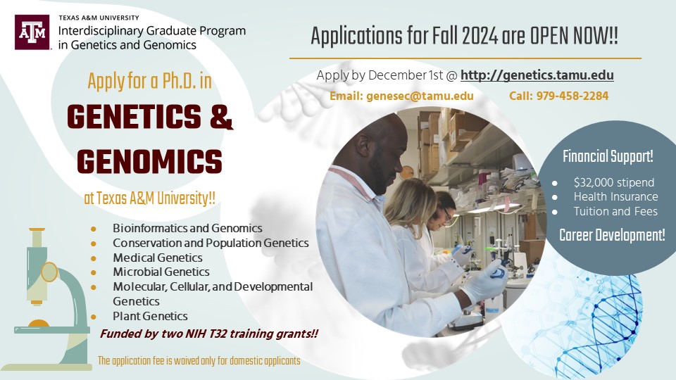 TAMU Genetics PhD advertisement slide 2024