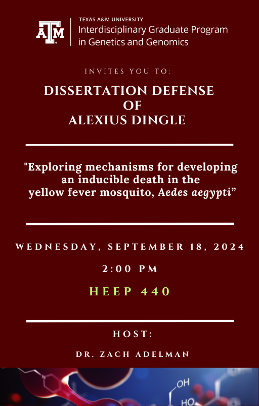 Dingle, Alexius-Defense Flyer