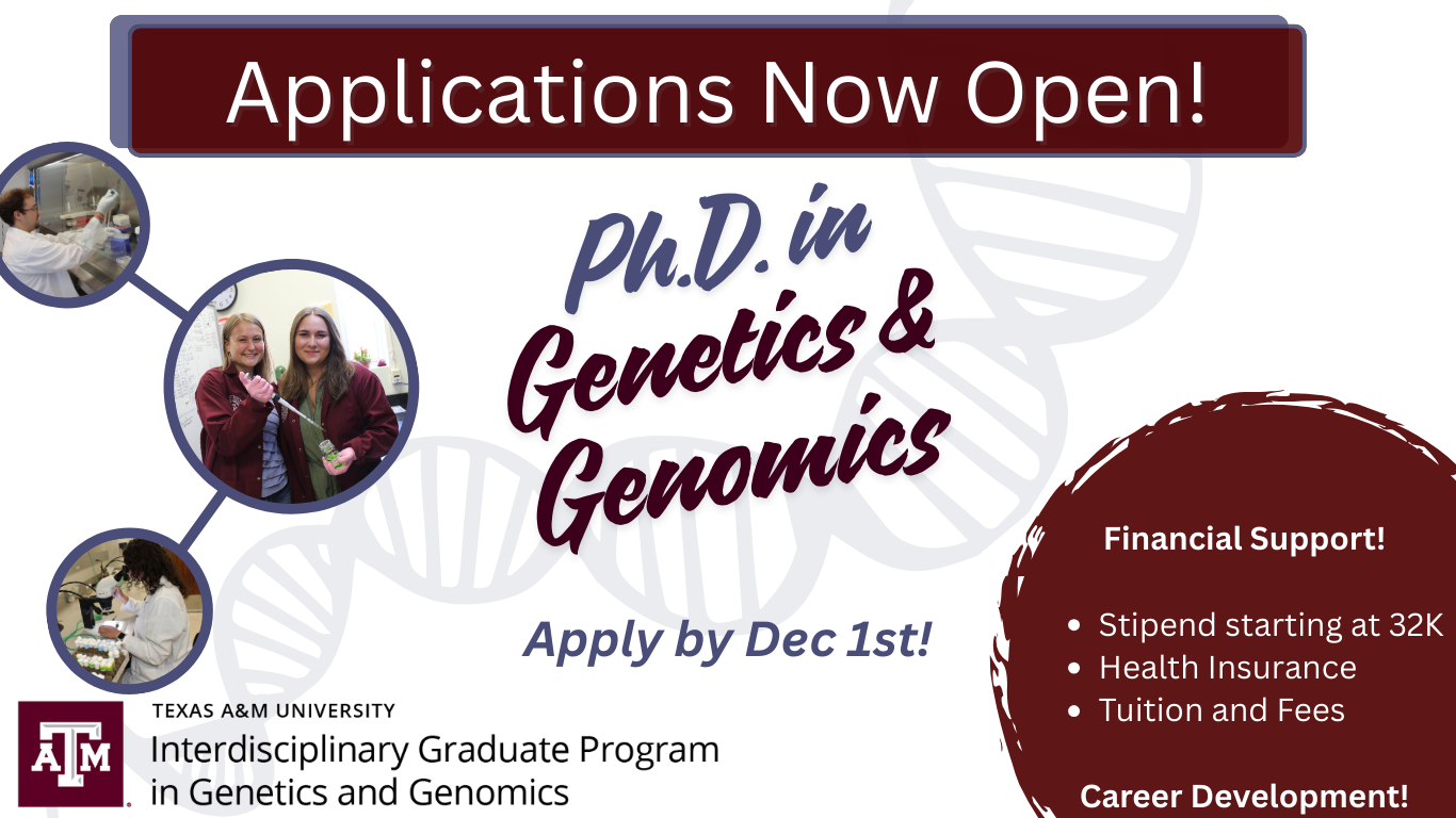 Application flyer