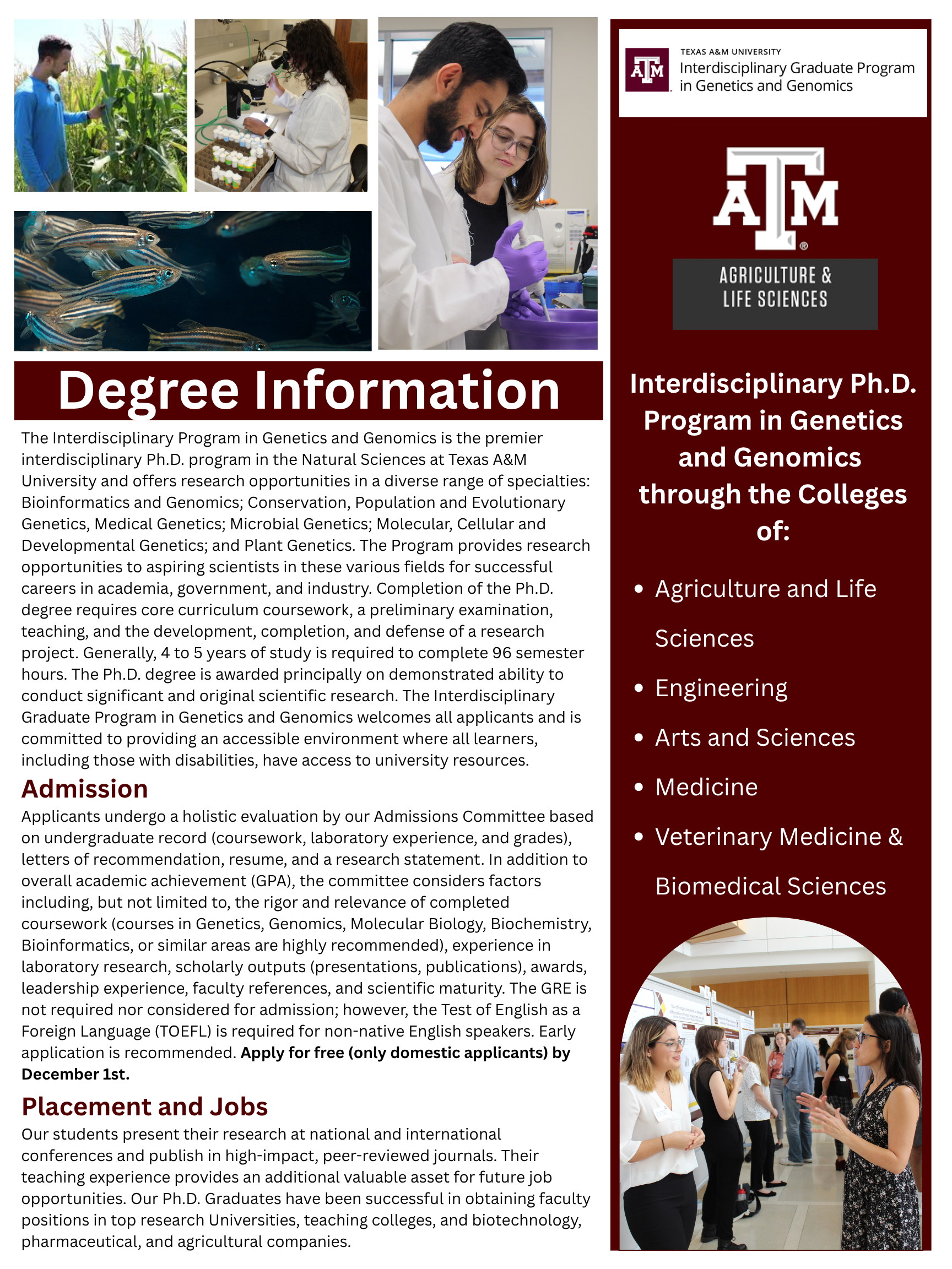 1 pager of degree information